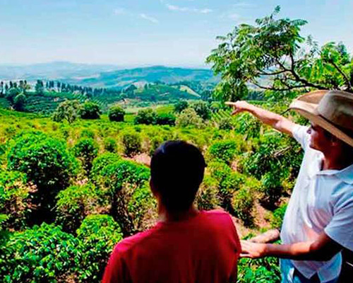 Turismo de café em Minas e São Paulo